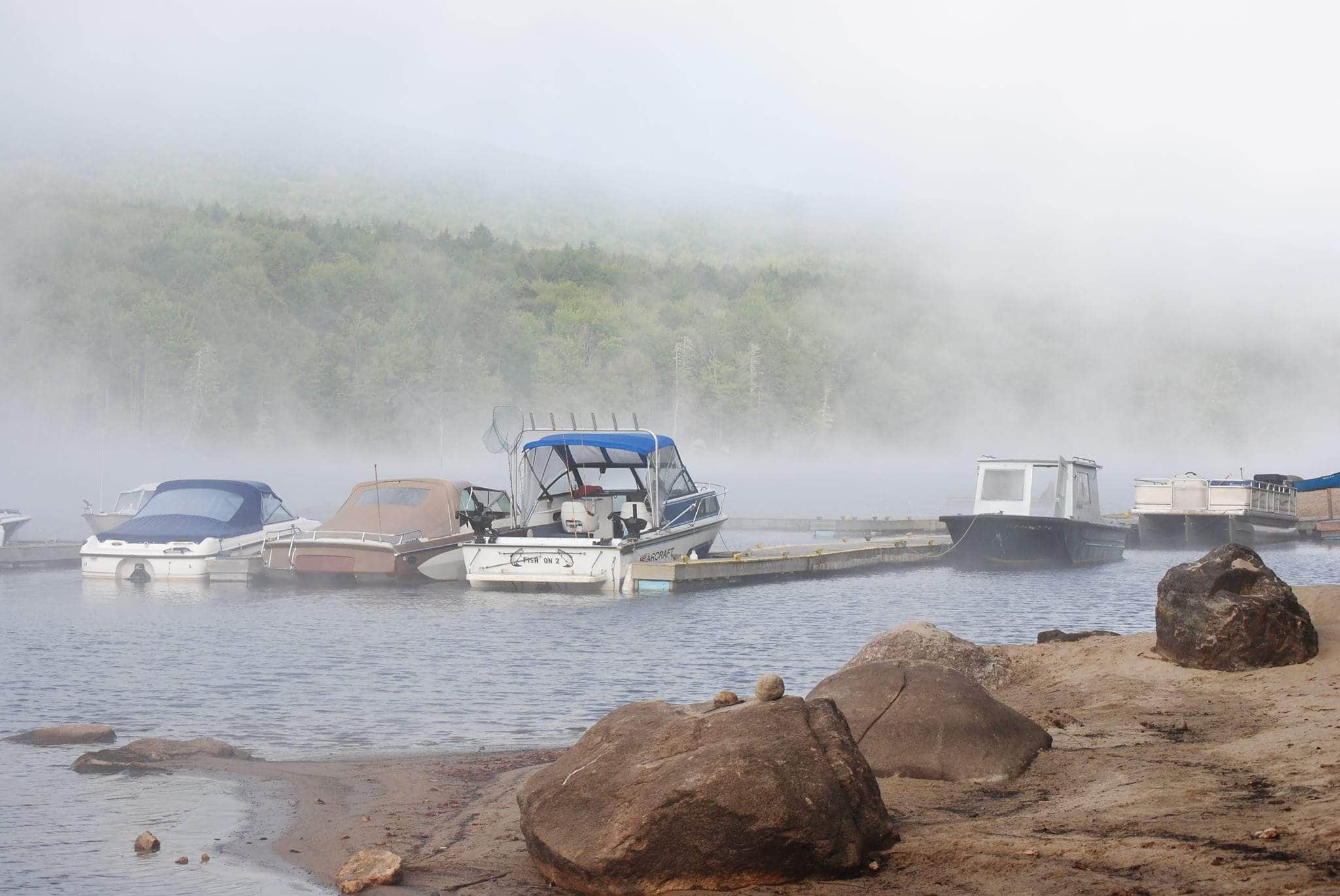 Camper submitted image from South Arm Campground - 5