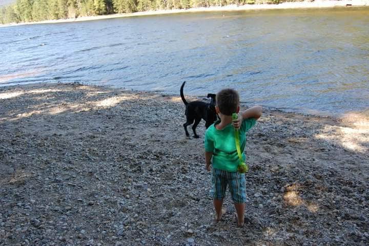 Brandy  S.'s photo of camping with pets at South Arm Campground near Kingfield, ME