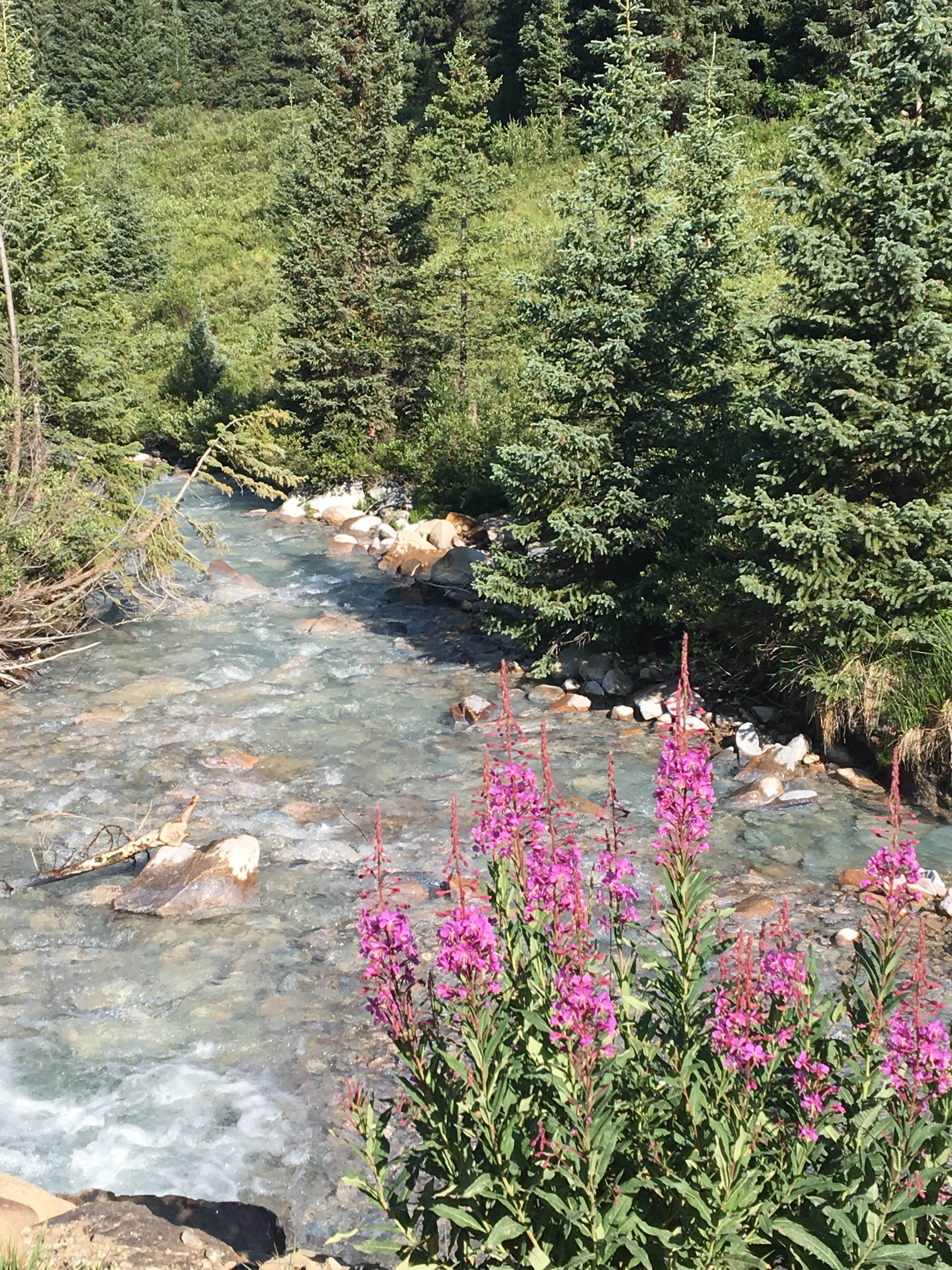 Camper-submitted photo at Peru Creek Designated Dispersed Camping near Silver Plume, CO