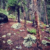 Review photo of Cold Springs Campground by Jess T., August 11, 2018