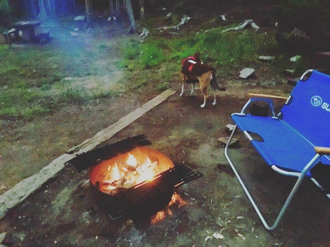Jess T.'s photo at Cold Springs Campground near Yampa, CO