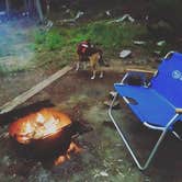 Review photo of Cold Springs Campground by Jess T., August 11, 2018