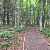 Review photo of Presque Isle - Porcupine Mountains State Park by Dana K., August 11, 2018