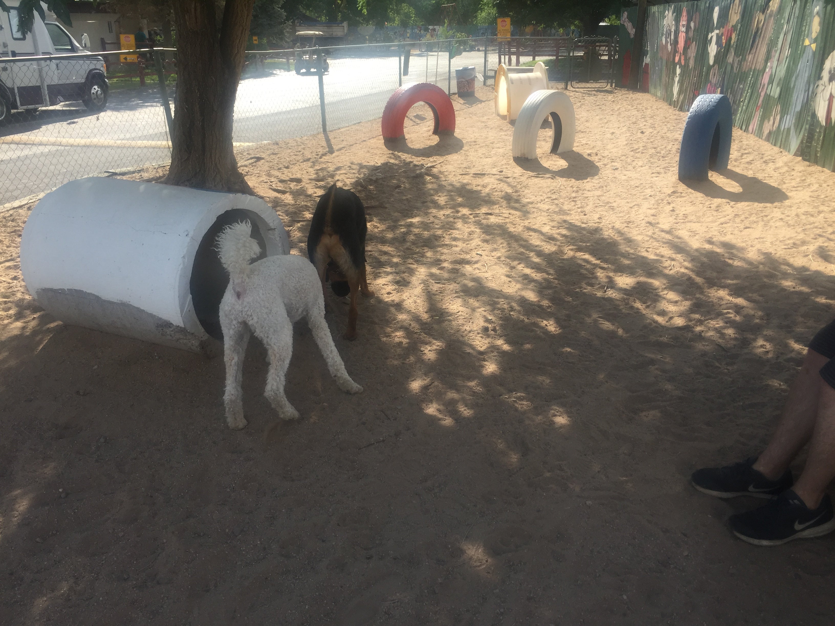 One of the dog parks available
