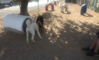 Mary L.'s photo of camping with pets at Albuquerque North / Bernalillo KOA near Tijeras, NM