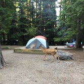 Review photo of Fish Creek Campground — Glacier National Park by Audra D., August 11, 2018