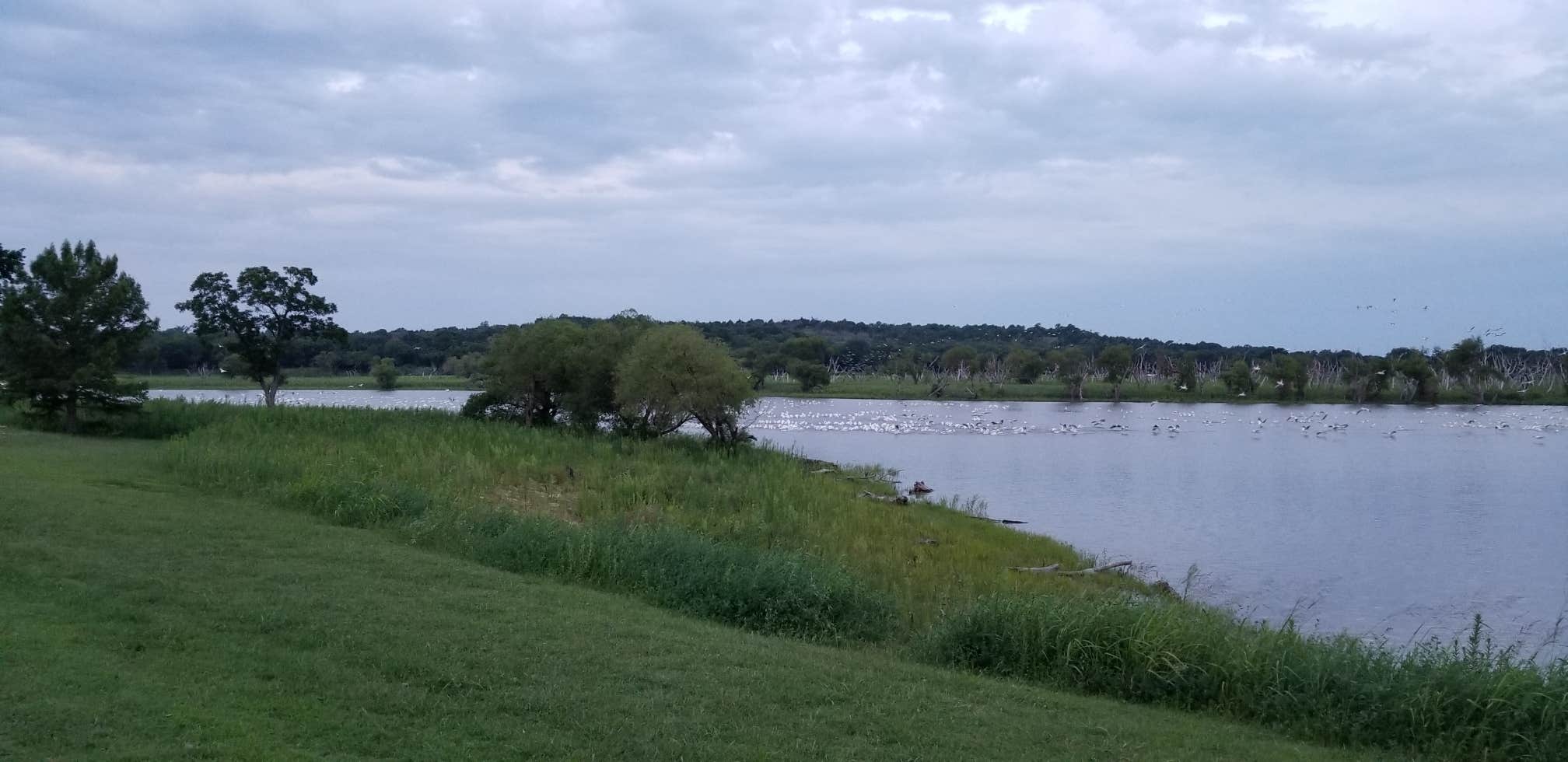 Camper-submitted photo at Coon Creek Cove near Burbank, OK