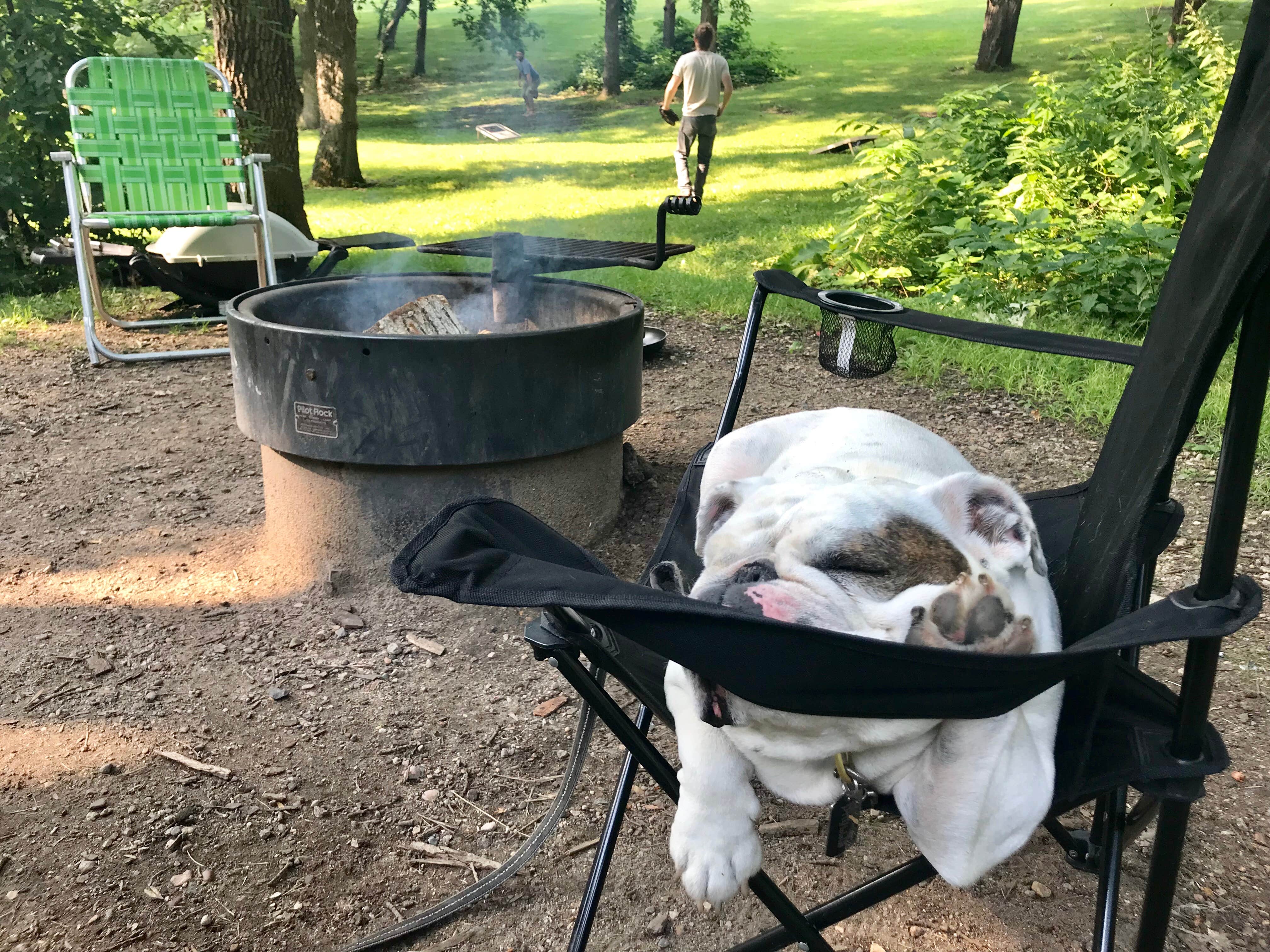 Tikki B.'s photo of camping with pets at Glacial Lakes State Park Campground near Melrose, MN