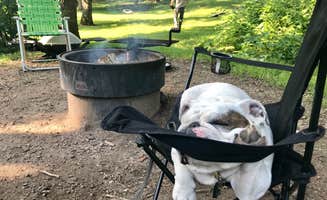 Tikki B.'s photo of camping with pets at Glacial Lakes State Park Campground near Sunburg, MN