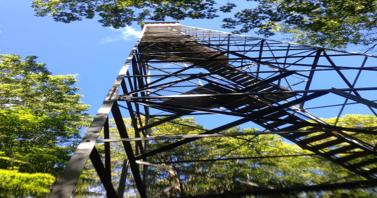 Camper Cabins — Mille Lacs Kathio State Park