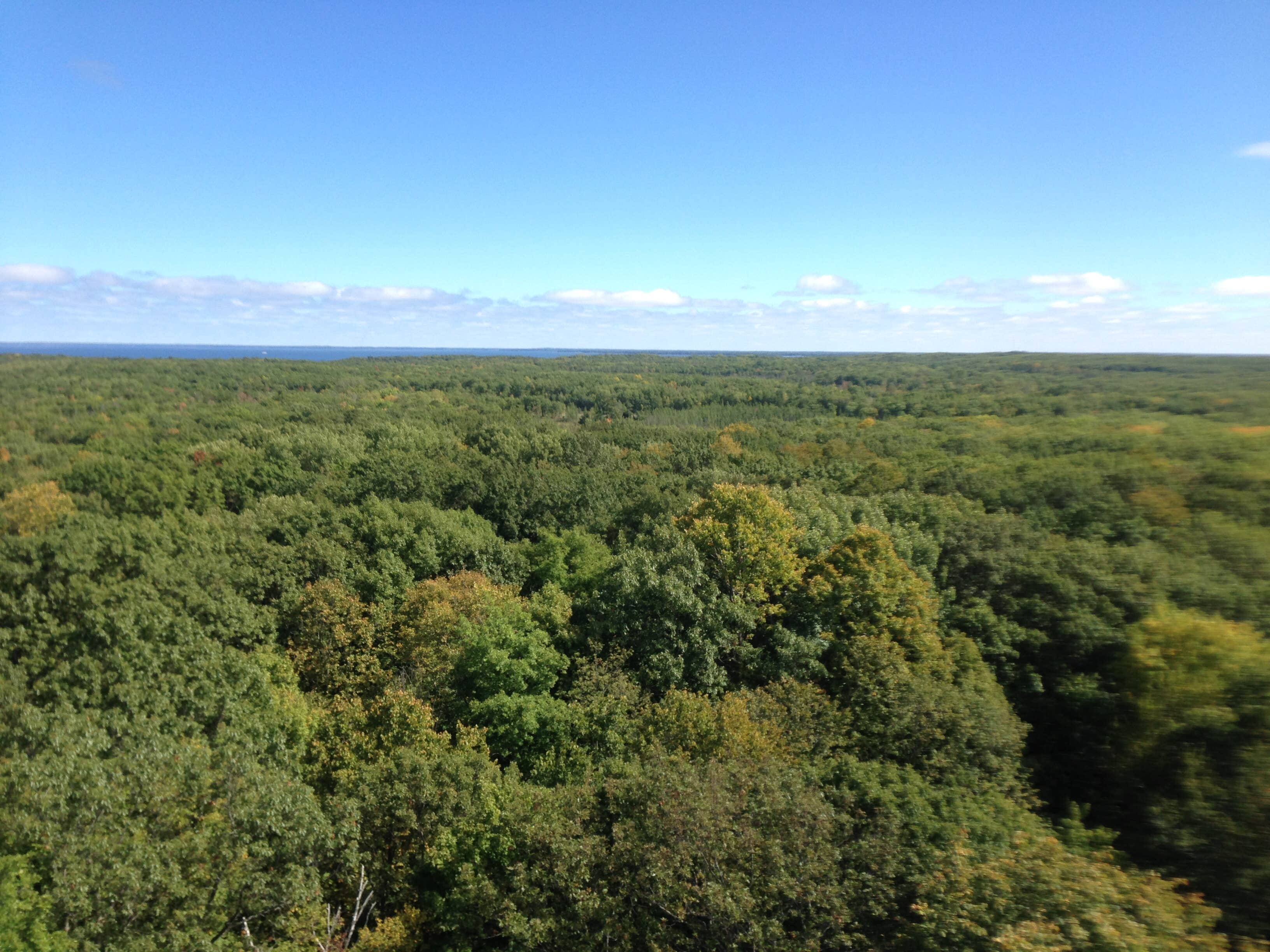 Camper-submitted photo at Camper Cabins — Mille Lacs Kathio State Park near Milaca, MN
