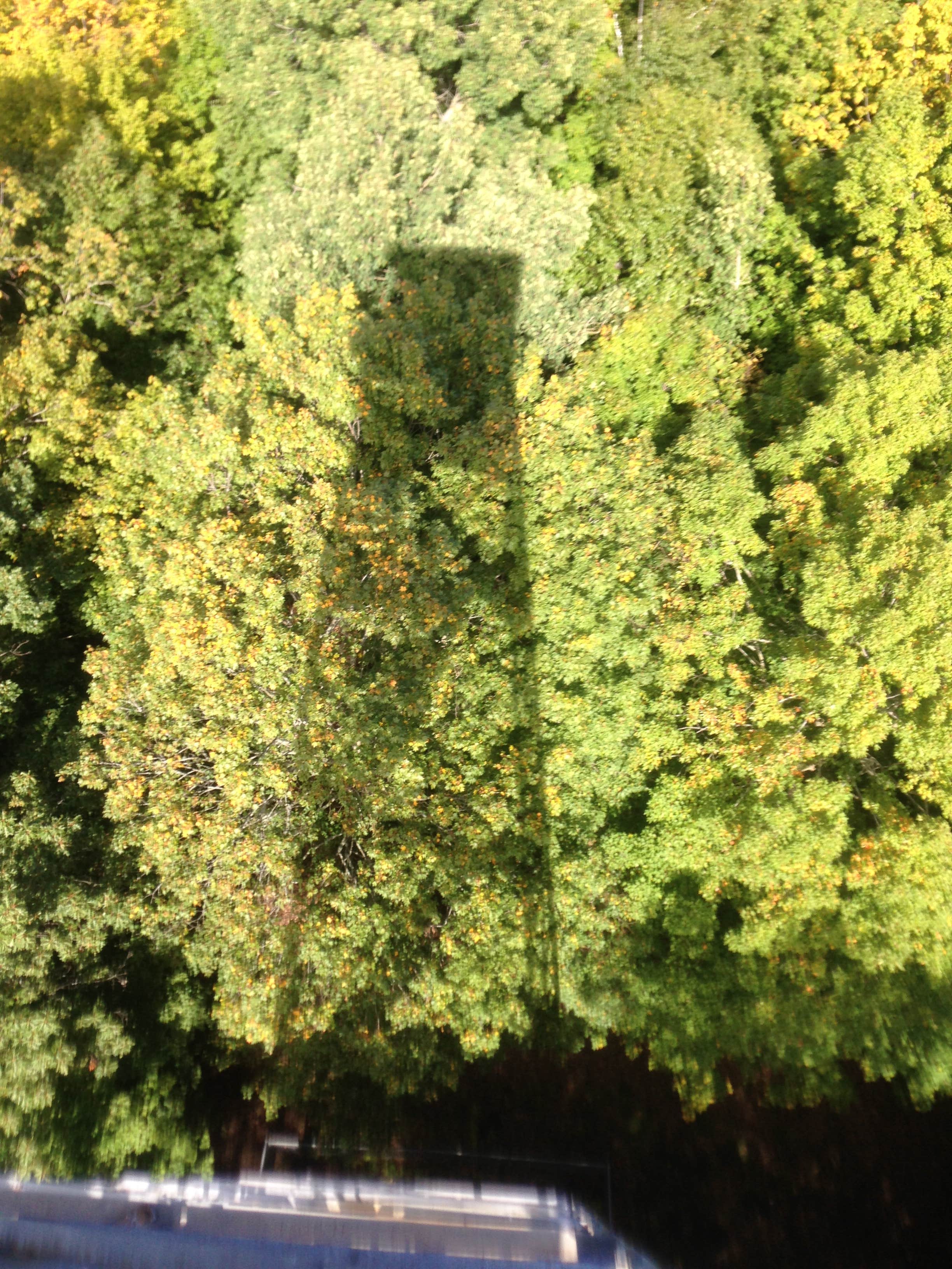 Camper-submitted photo at Camper Cabins — Mille Lacs Kathio State Park near Milaca, MN