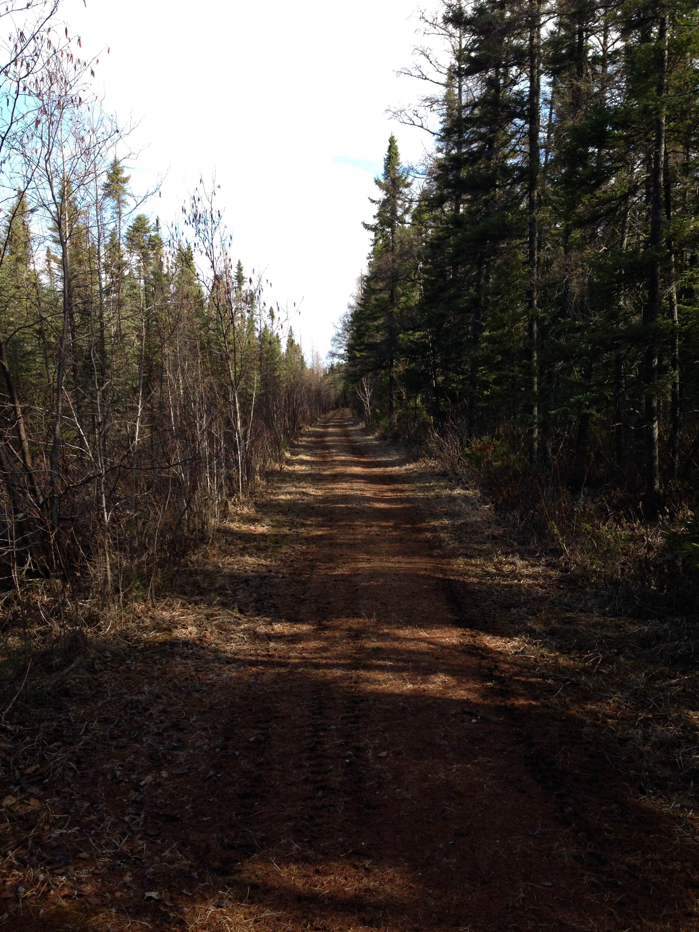 Camper-submitted photo at Scenic State Park Campground near Wirt, MN