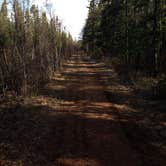 Review photo of Scenic State Park Campground by Tikki B., August 11, 2018