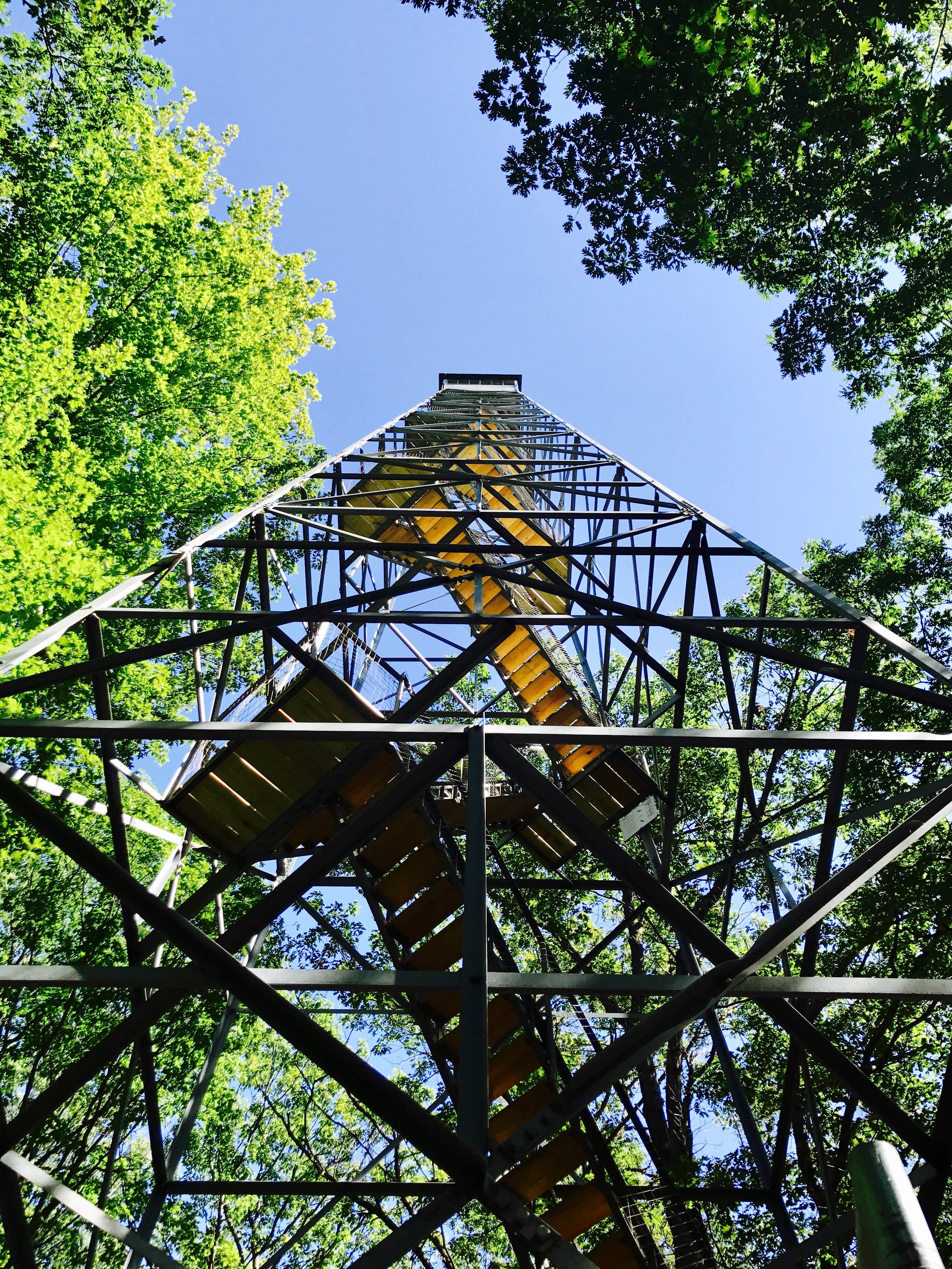 Camper submitted image from Paint Rock Springs Campground — St. Croix State Park - 4