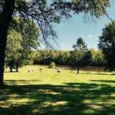 Review photo of Paint Rock Springs Campground — St. Croix State Park by Tikki B., August 11, 2018