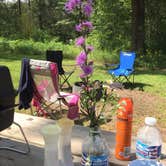 Review photo of Paint Rock Springs Campground — St. Croix State Park by Tikki B., August 11, 2018