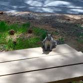 Review photo of Flagstaff KOA by Casey J., August 11, 2018