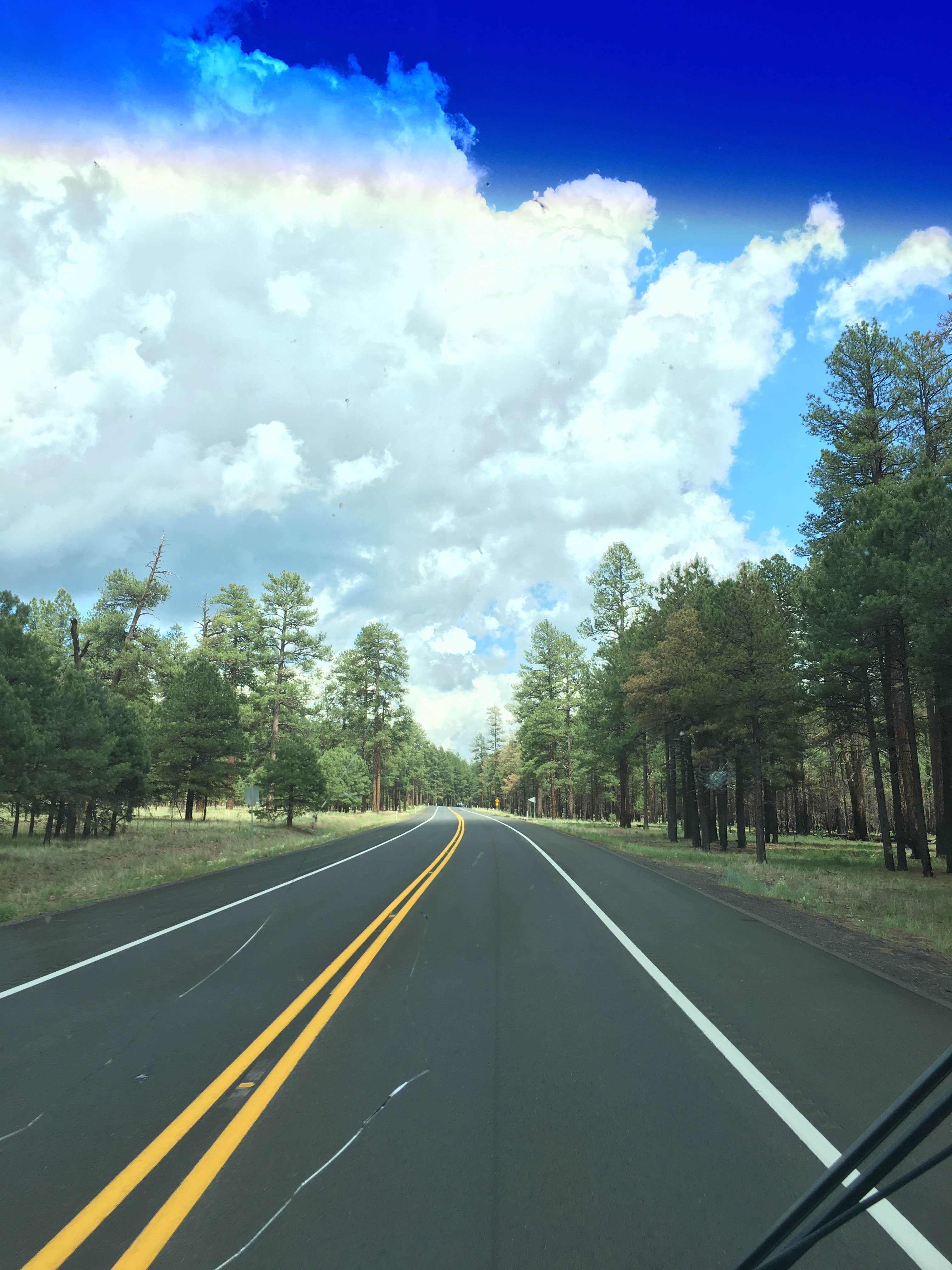 Coconino National Forest Recreation photo 5