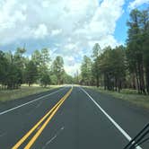 Review photo of Flagstaff KOA by Casey J., August 11, 2018