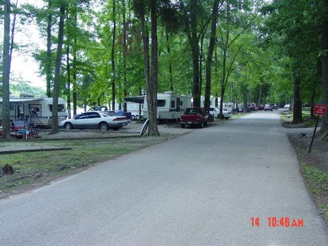 Camper submitted image from Beech Bend Campground - 1