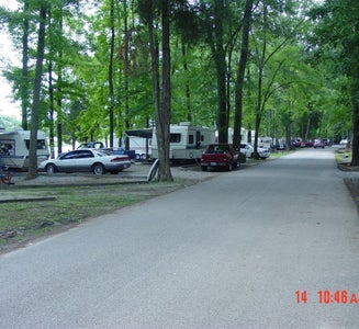 Camper-submitted photo from Beech Bend Campground