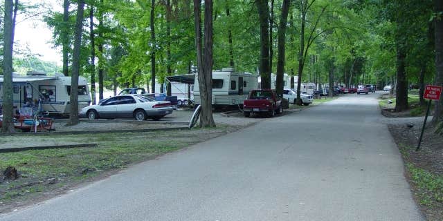 Camper submitted image from Beech Bend Campground