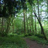 Review photo of Beaver Bay Campground by Sarah  B., August 11, 2018