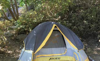 Sarah B.'s photo of tent camping at Lake Chelan State Park Campground near Ardenvoir, WA