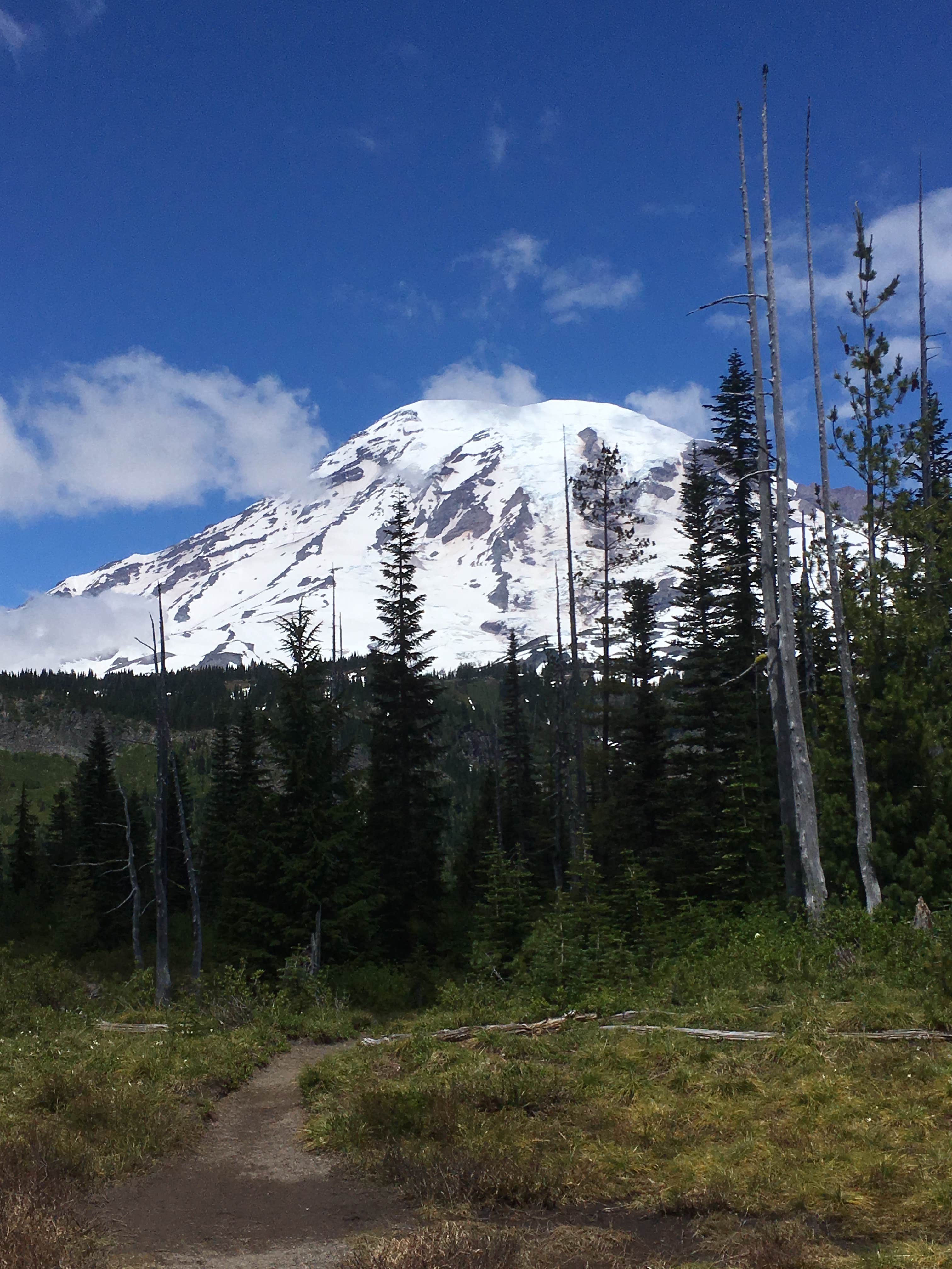 Cougar Rock Campground — Mount Rainier National Park
