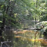 Review photo of Tippecanoe River State Park Campground by Thomas U., August 11, 2018