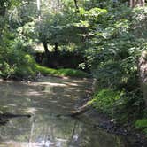 Review photo of Tippecanoe River State Park Campground by Thomas U., August 11, 2018