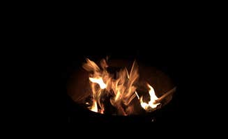 Sarah B.'s photo at Olympic Peninsula-Port Angeles KOA near Port Angeles, WA