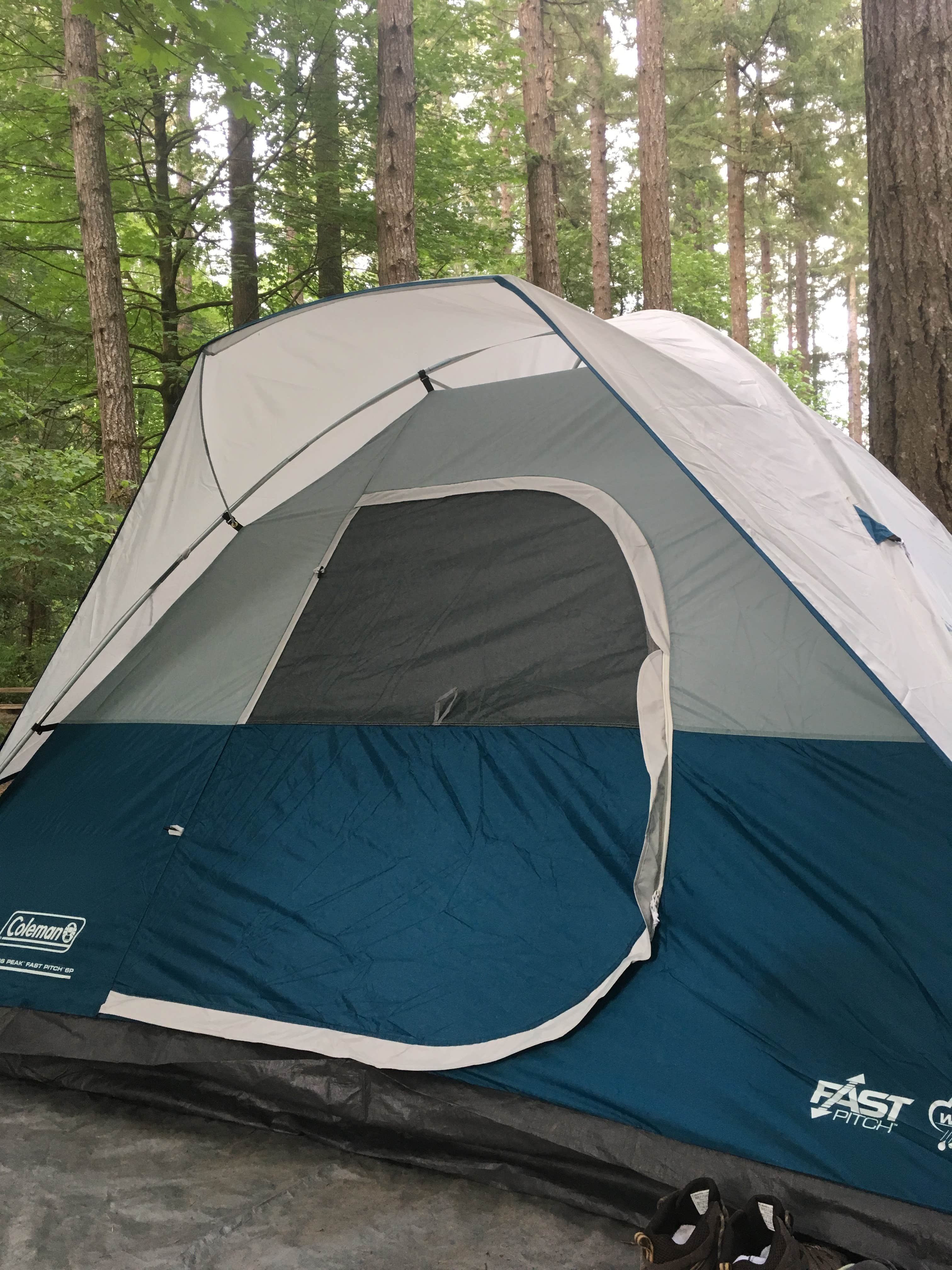 Camper-submitted photo at Belfair State Park Campground near Gig Harbor, WA