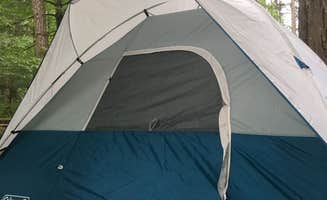 Sarah B.'s photo at Belfair State Park Campground near Brinnon, WA