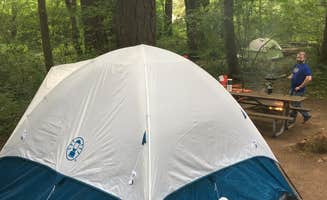 Sarah B.'s photo at Belfair State Park Campground near Brinnon, WA