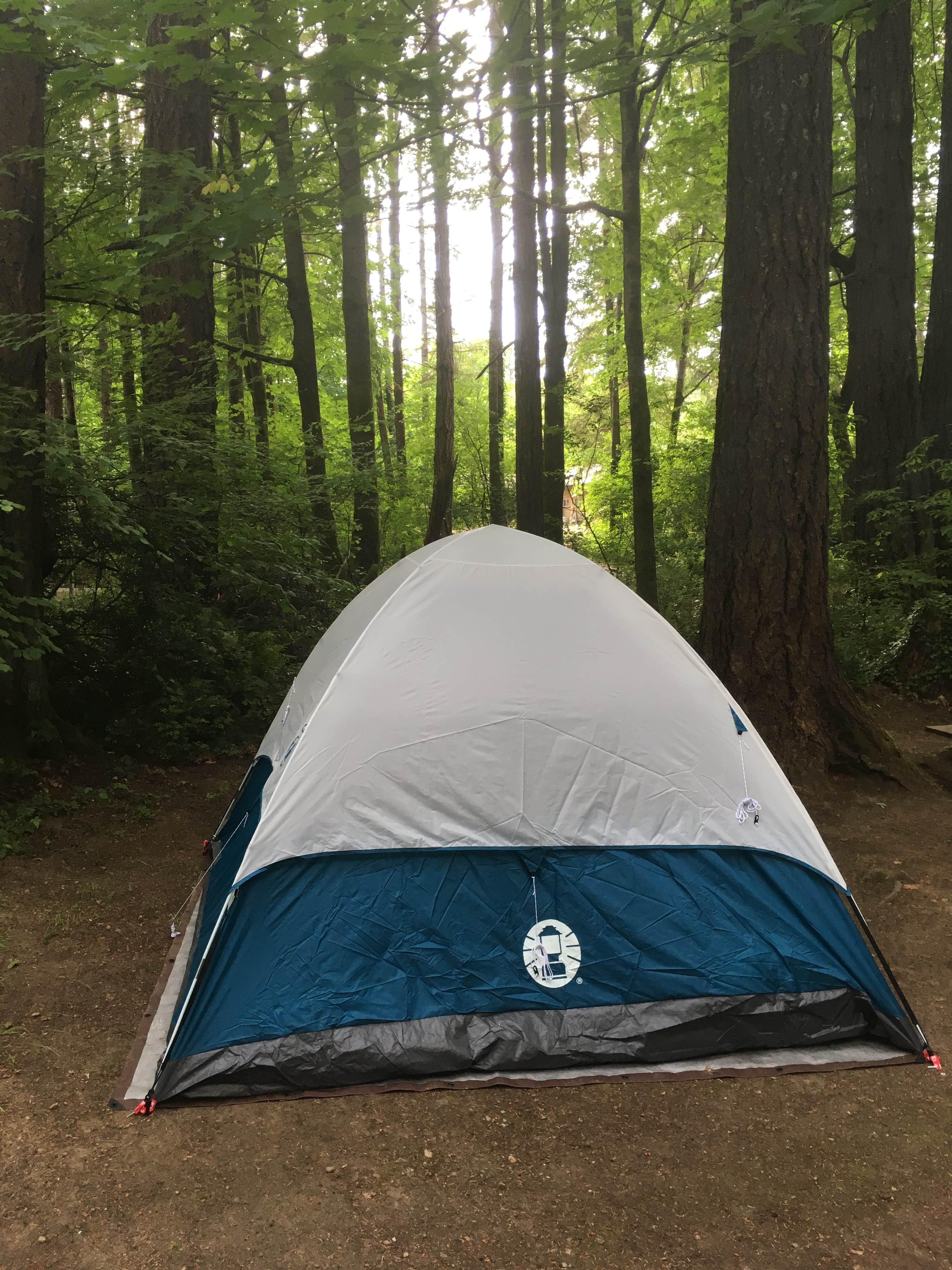 Sarah  B.'s photo at Belfair State Park Campground near Vaughn, WA
