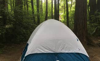 Sarah B.'s photo at Belfair State Park Campground near Belfair, WA