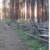 Review photo of East Lemolo Campground by Shawna M., July 30, 2016