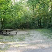 Review photo of Charles A. Lindbergh State Park Campground by Mary S., August 11, 2018