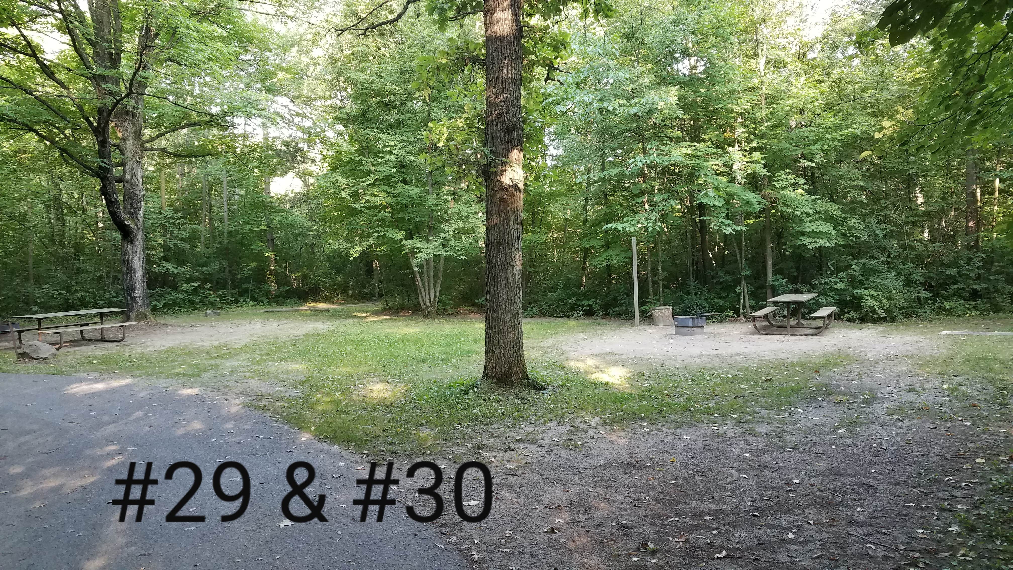 Camper-submitted photo at Charles A. Lindbergh State Park Campground near Little Falls, MN