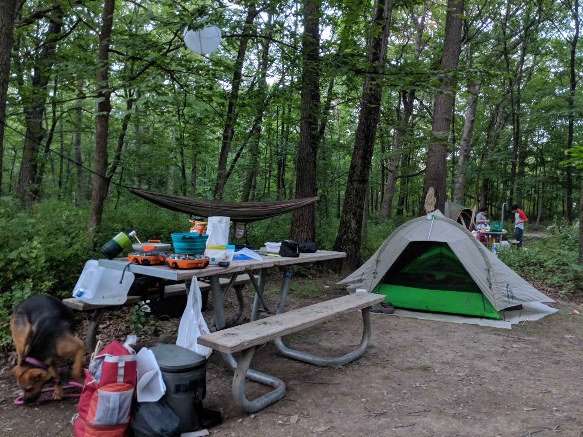Camper submitted image from Camp Sullivan - 5