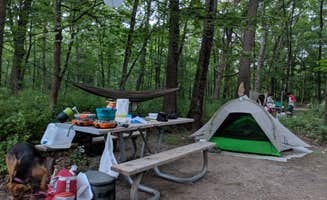 Megan R.'s photo of camping with pets at Camp Sullivan near Eola, IL