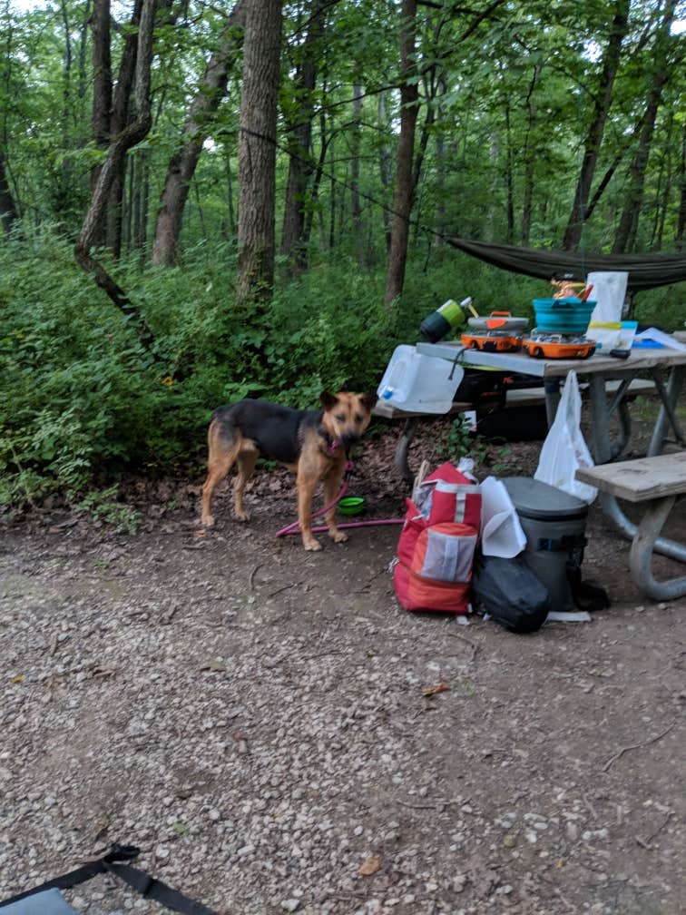 Camper-submitted photo at Camp Sullivan near Romeoville, IL