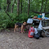 Review photo of Camp Sullivan by Megan R., August 11, 2018