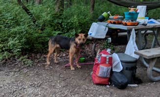 Megan R.'s photo at Camp Sullivan near Hammond, IN