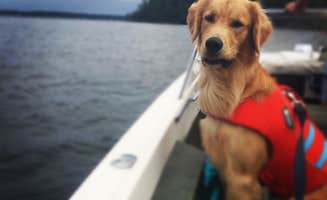 Sarah K.'s photo of camping with pets at Beechwood Campground — Ludington State Park near Free Soil, MI