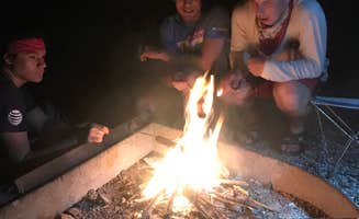 Stephanie J.'s photo at Lake Ouachita State Park Campground in Arkansas
