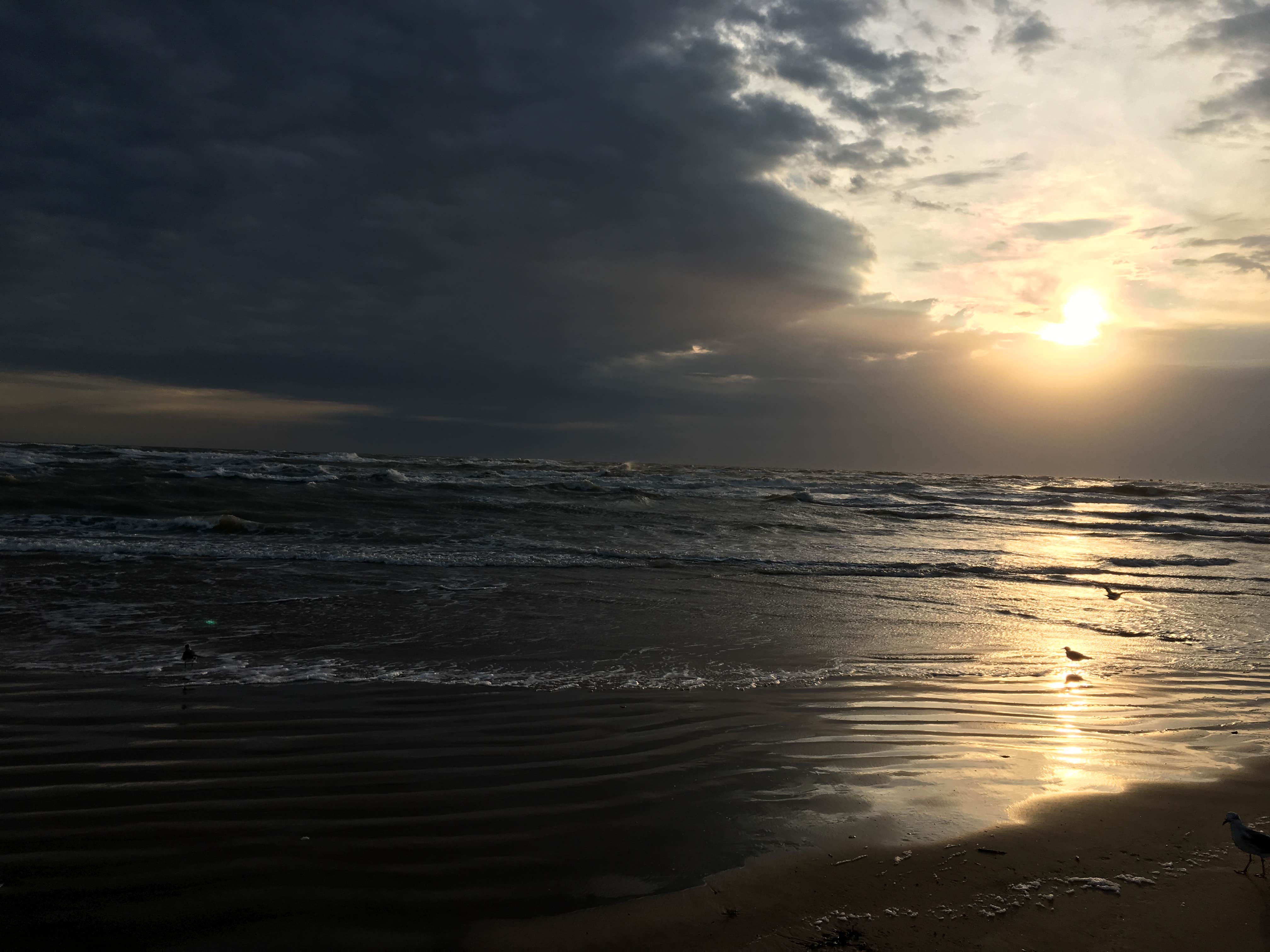 Camper-submitted photo at Isla Blanca Park near Brownsville, TX