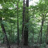 Review photo of Devil's Den State Park Campground by Stephanie J., August 11, 2018